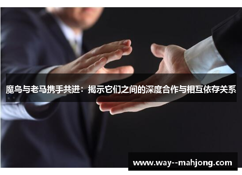 魔鸟与老马携手共进：揭示它们之间的深度合作与相互依存关系