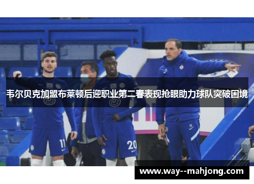 韦尔贝克加盟布莱顿后迎职业第二春表现抢眼助力球队突破困境